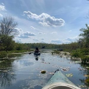 Meet your Posher, Madeline